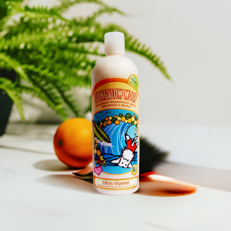Citrus Wipeout Naturally Magnificent Wash for Dogs