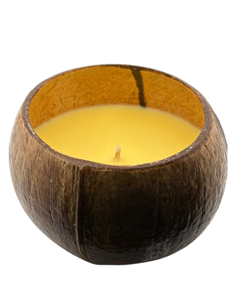 Juicy Pineapple Coconut Shell Soy Candle,12oz