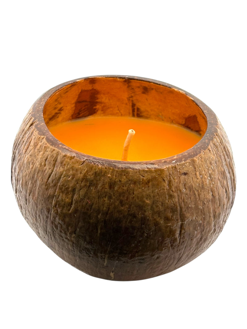 Epic Nectar Coconut Shell Soy Candle, 12oz