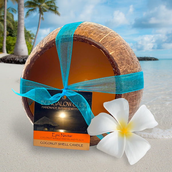 coconut and palm candle Epic Nectar Coconut Shell Soy Candle, 12oz