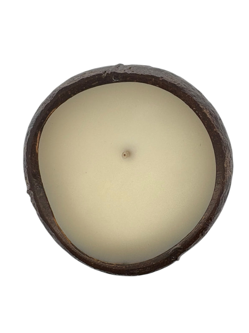 Coconut Volcano Coconut Shell Soy Candle, 12oz