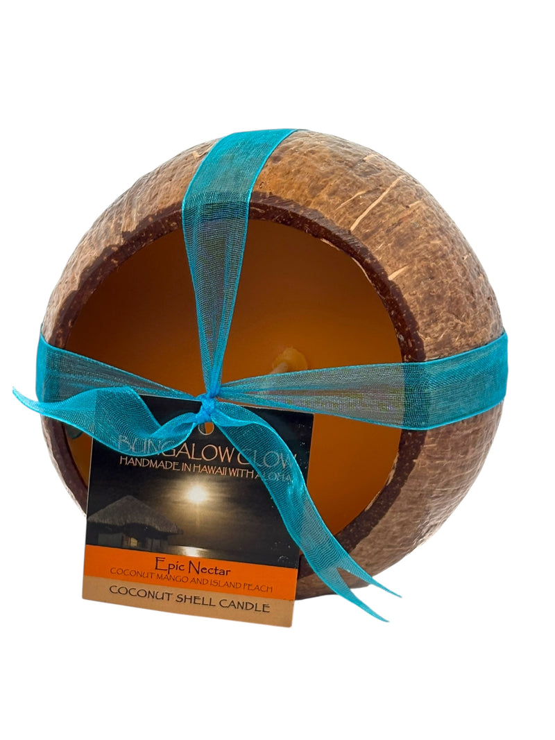 Epic Nectar Coconut Shell Soy Candle, 12oz