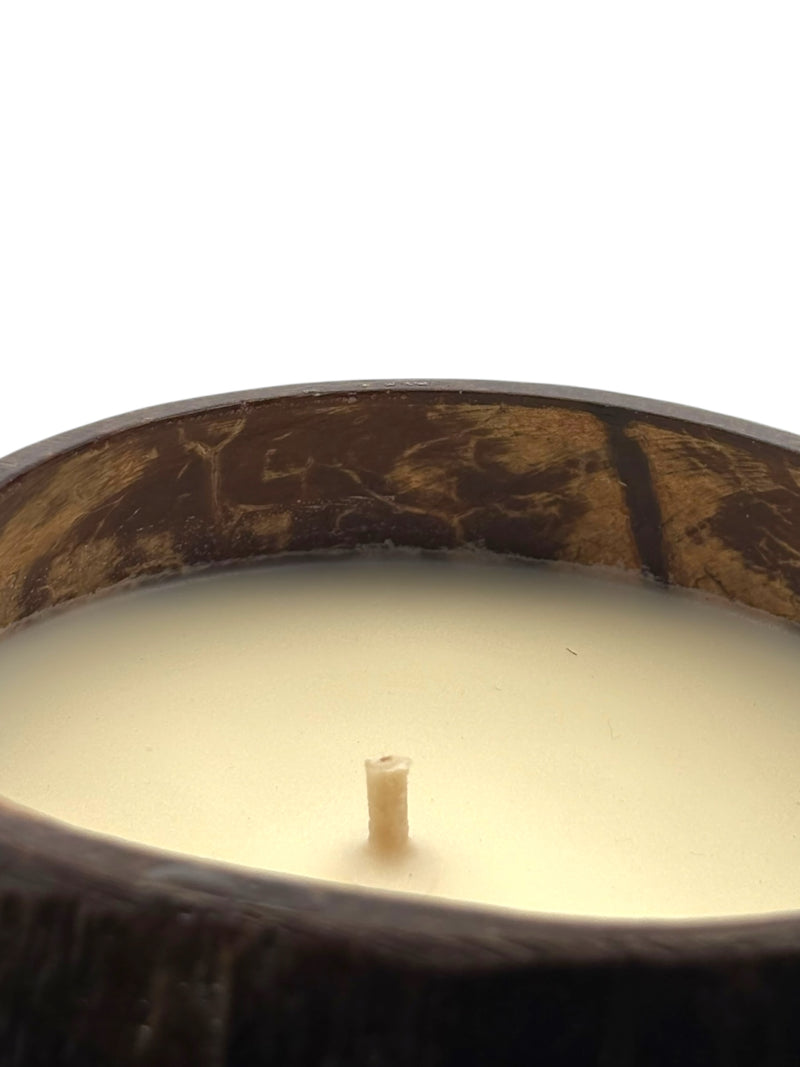 Coconut Volcano Coconut Shell Soy Candle, 12oz