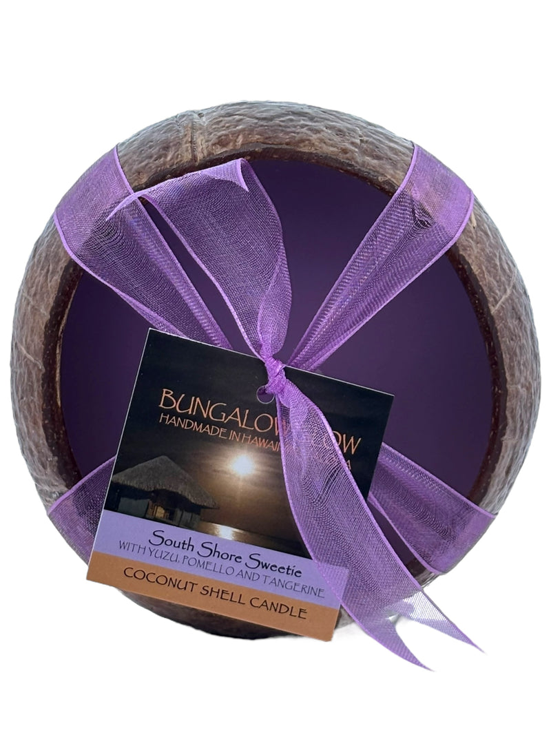 South Shore Sweetie Coconut Shell Soy Candle