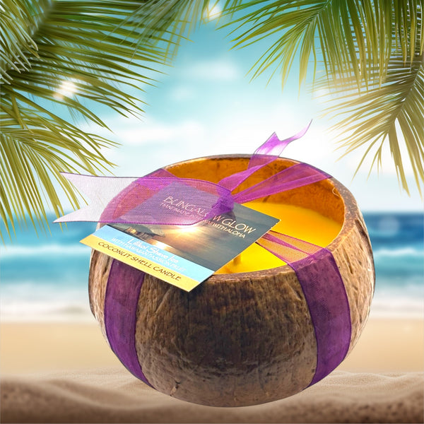 Lilikoi Shave Ice Coconut Shell Soy Candle