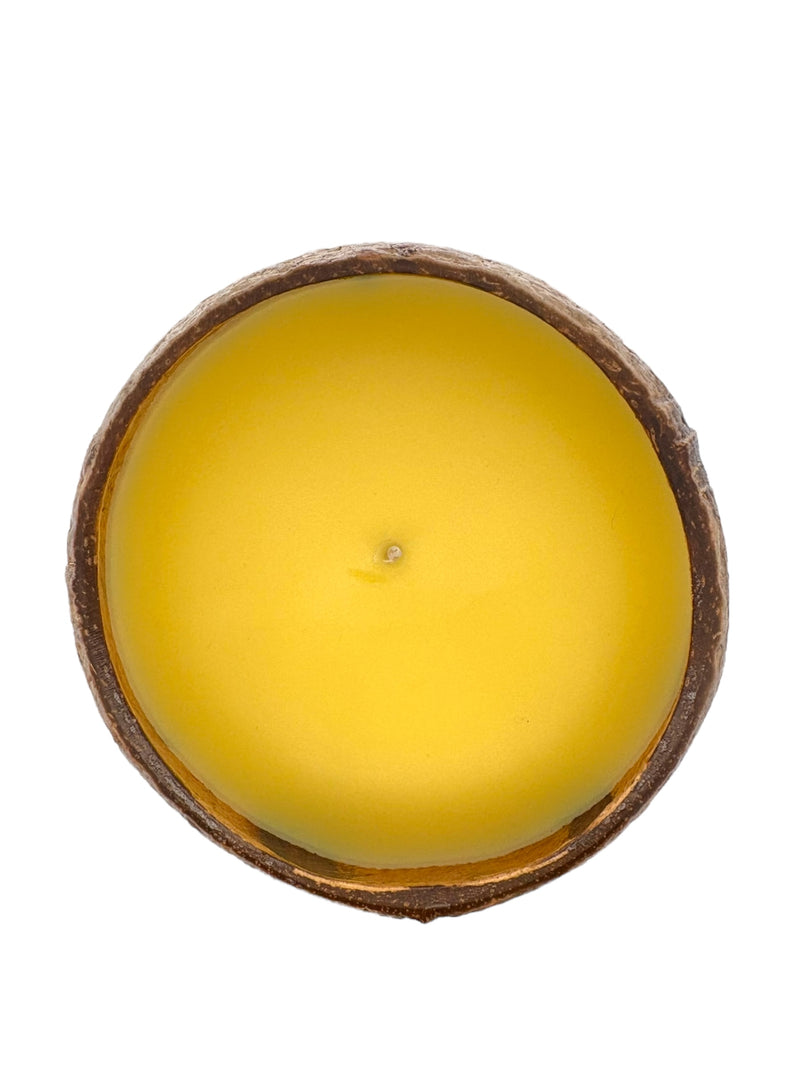 Juicy Pineapple Coconut Shell Soy Candle,12oz