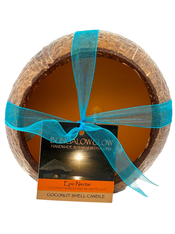 Epic Nectar Coconut Shell Soy Candle, 12oz