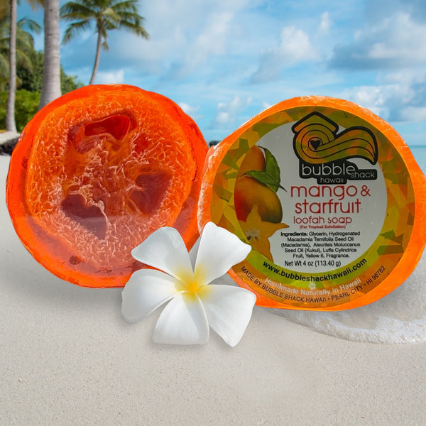 Mango and Starfruit Loofah Soap
