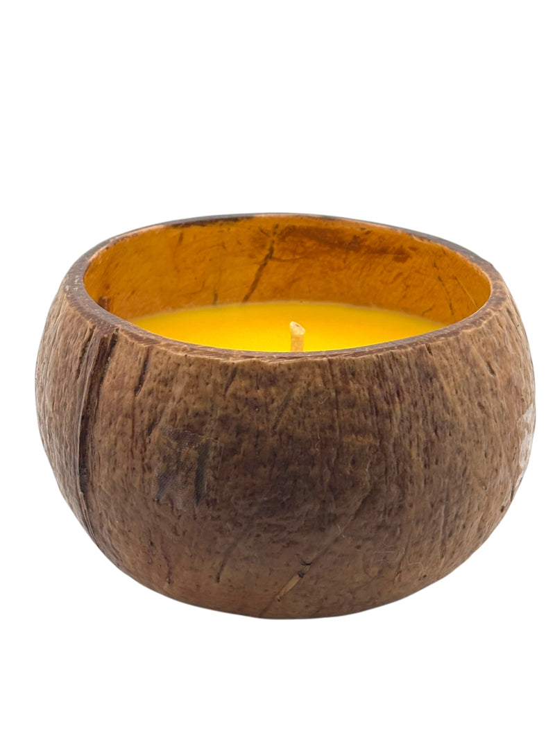 Lilikoi Shave Ice Coconut Shell Soy Candle