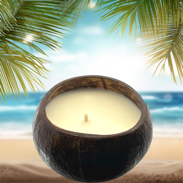 Coconut Volcano Coconut Shell Soy Candle, 12oz