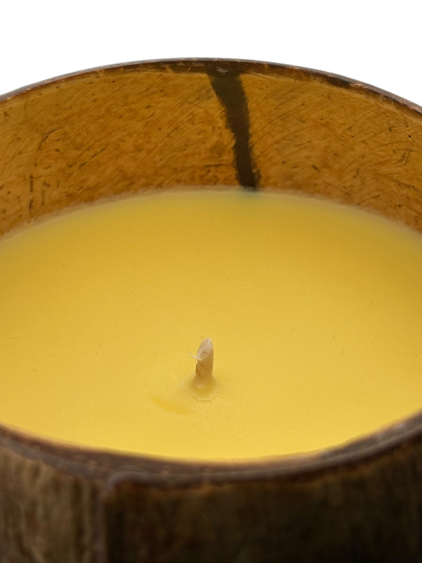 Juicy Pineapple Coconut Shell Soy Candle,12oz