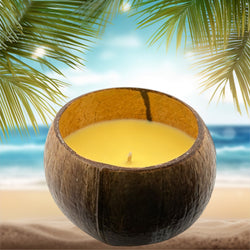 Juicy Pineapple Coconut Shell Soy Candle,12oz