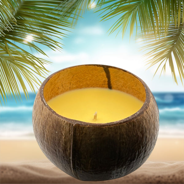 Juicy Pineapple Coconut Shell Soy Candle,12oz