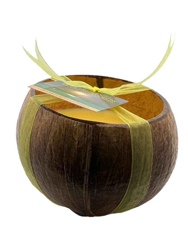 Juicy Pineapple Coconut Shell Soy Candle,12oz
