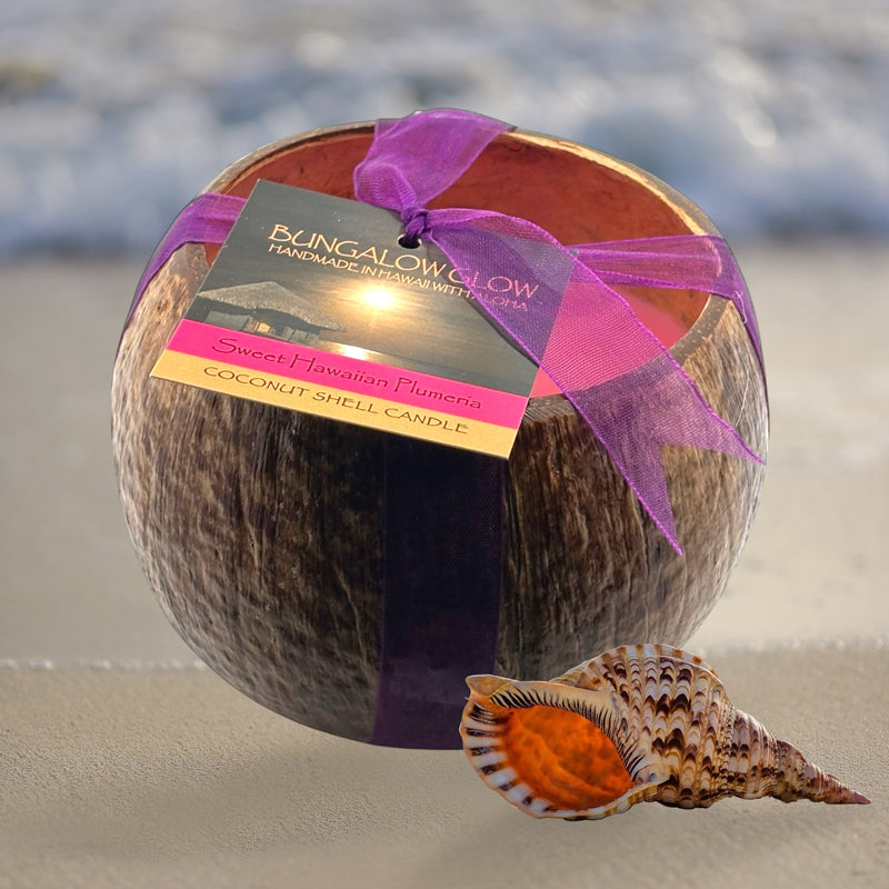 Sweet Hawaiian Plumeria Coconut Shell Soy Candle