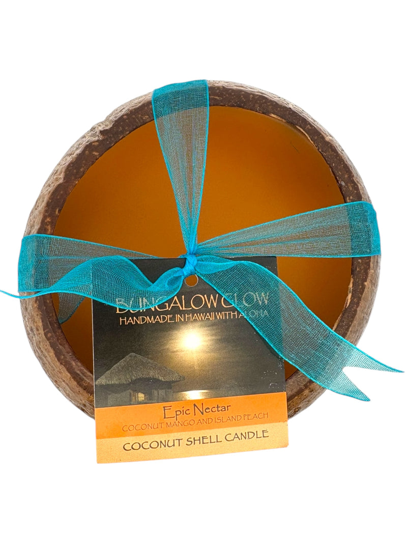 Epic Nectar Coconut Shell Soy Candle, 12oz