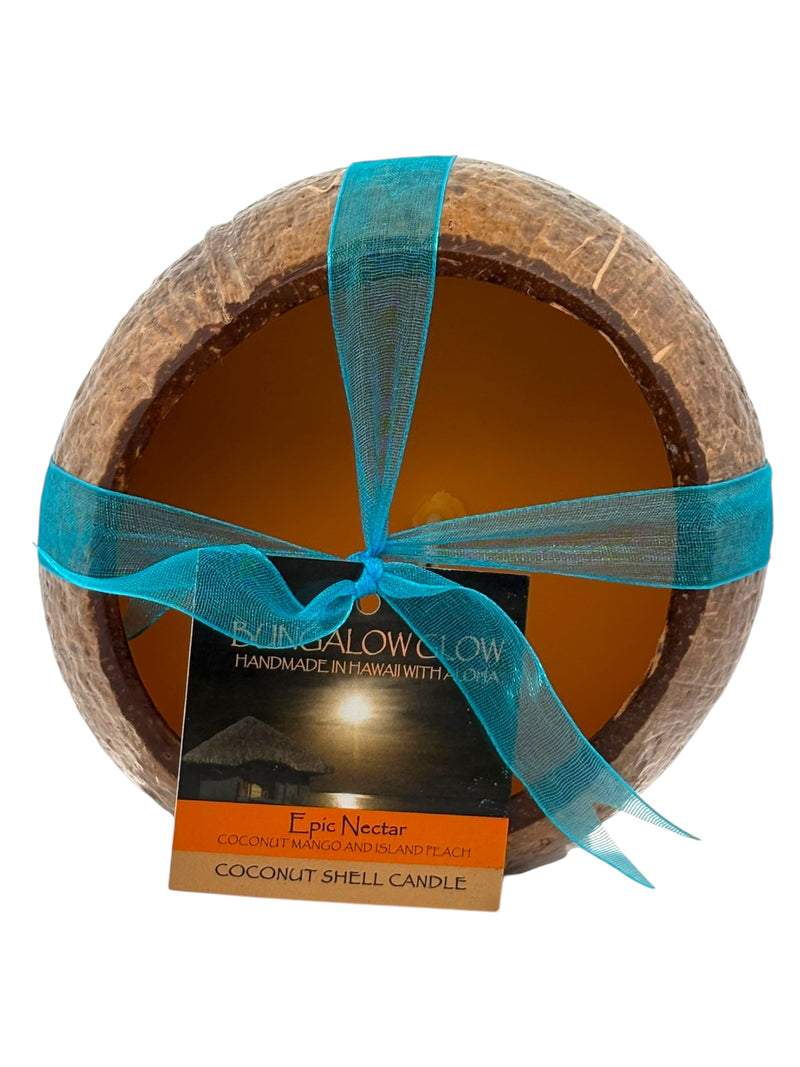 Epic Nectar Coconut Shell Soy Candle, 12oz