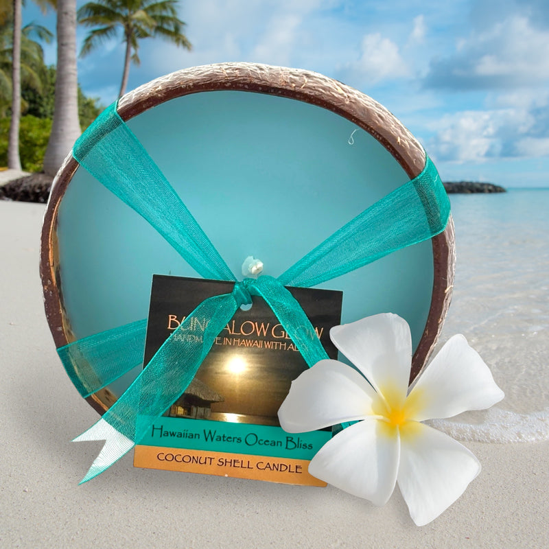 Hawaiian Waters Ocean Bliss Coconut Shell Soy Candle,12oz