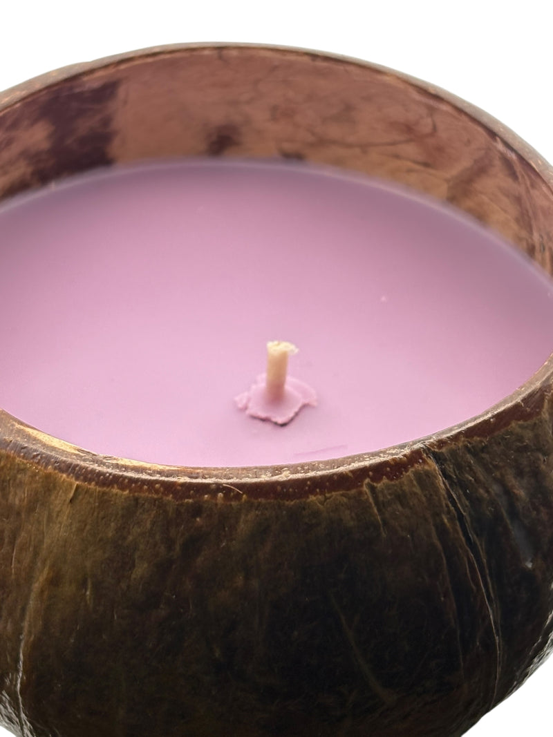South Shore Sweetie Coconut Shell Soy Candle