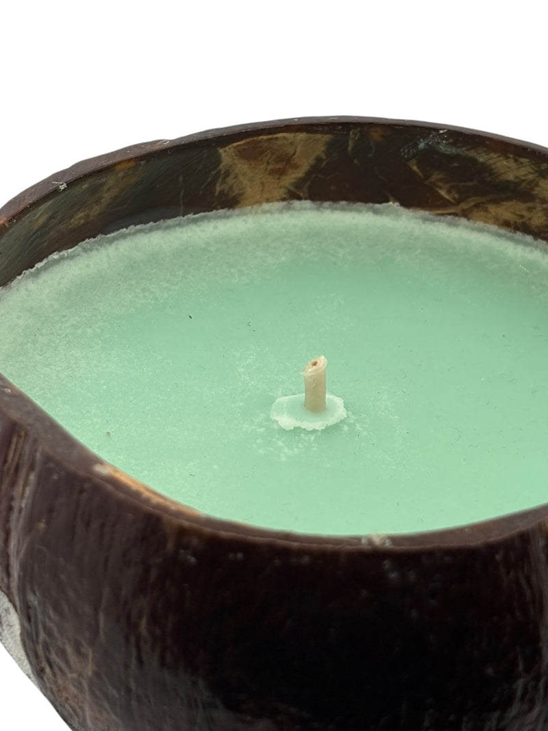 Rocky Point Rumble Coconut Shell Candle
