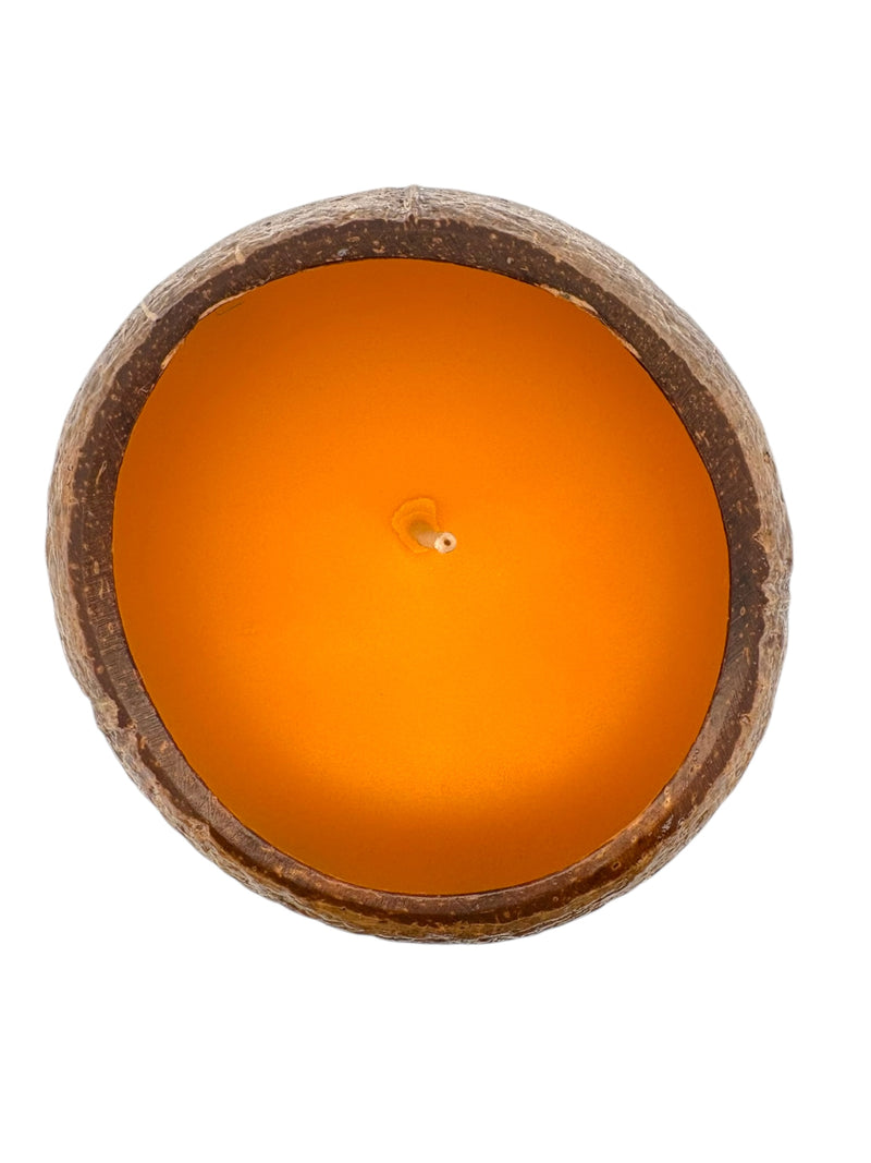 Epic Nectar Coconut Shell Soy Candle, 12oz