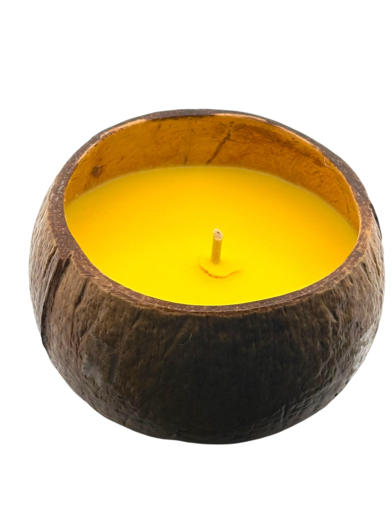 Lilikoi Shave Ice Coconut Shell Soy Candle