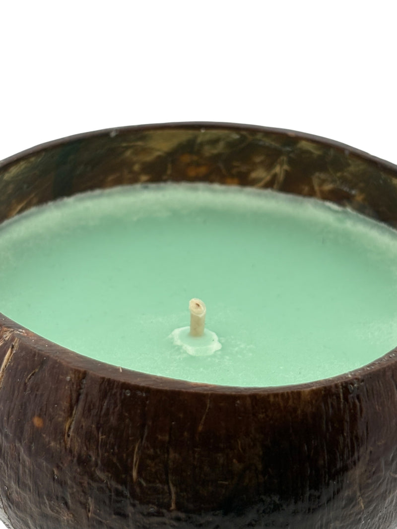 Rocky Point Rumble Coconut Shell Candle