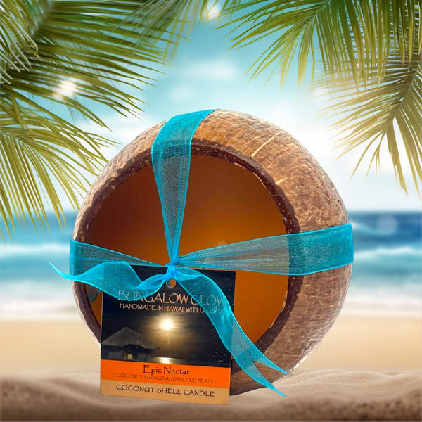Epic Nectar Coconut Shell Soy Candle, 12oz