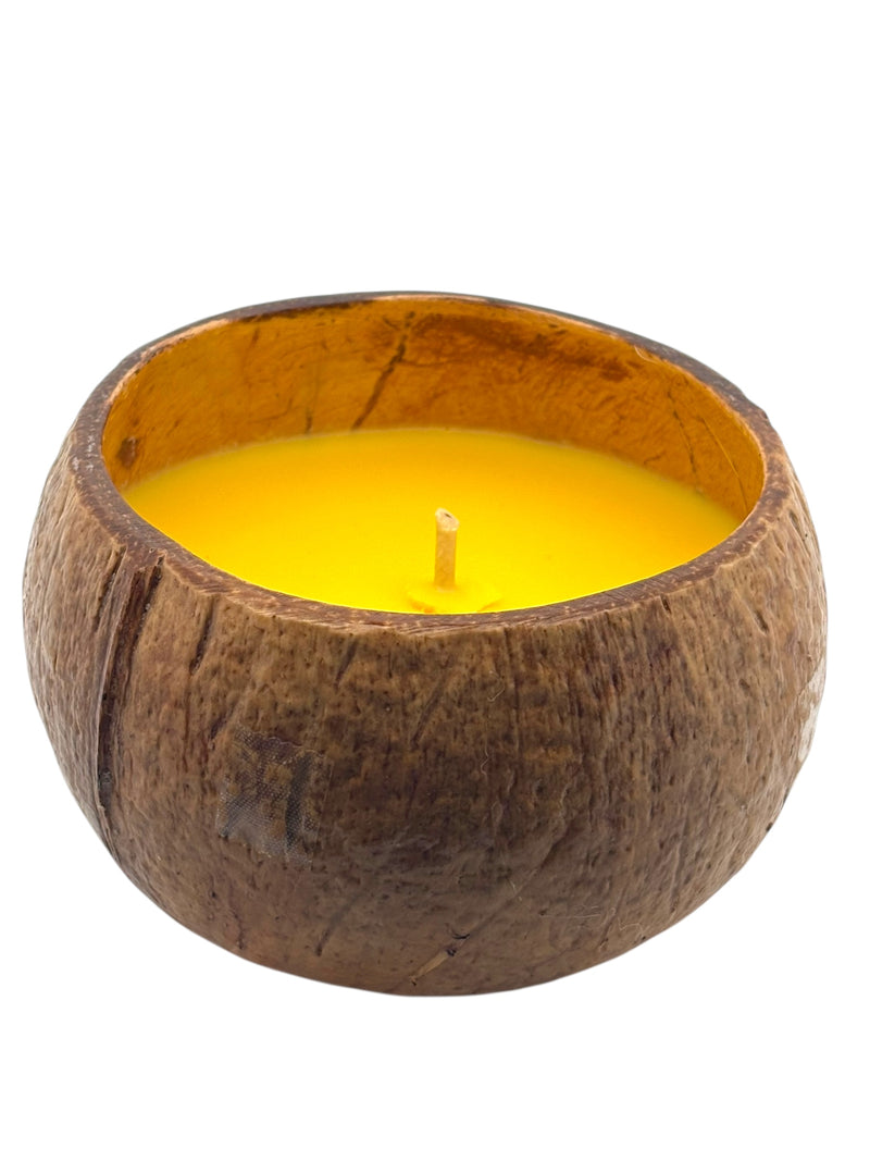 Lilikoi Shave Ice Coconut Shell Soy Candle