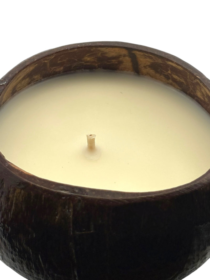 Coconut Volcano Coconut Shell Soy Candle, 12oz