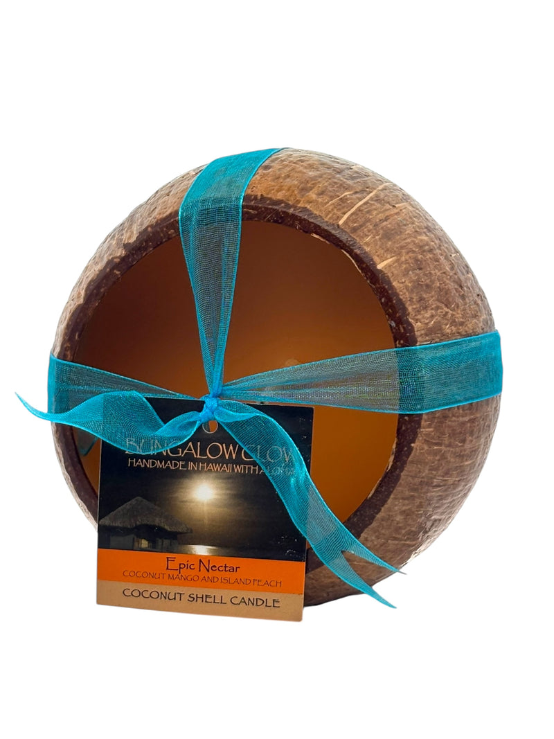 Epic Nectar Coconut Shell Soy Candle, 12oz