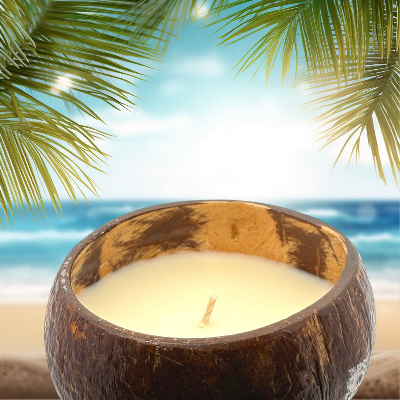 coconut palm candle Bungalow Glow, Candle Tuba Rose Coconut 12 Ounce