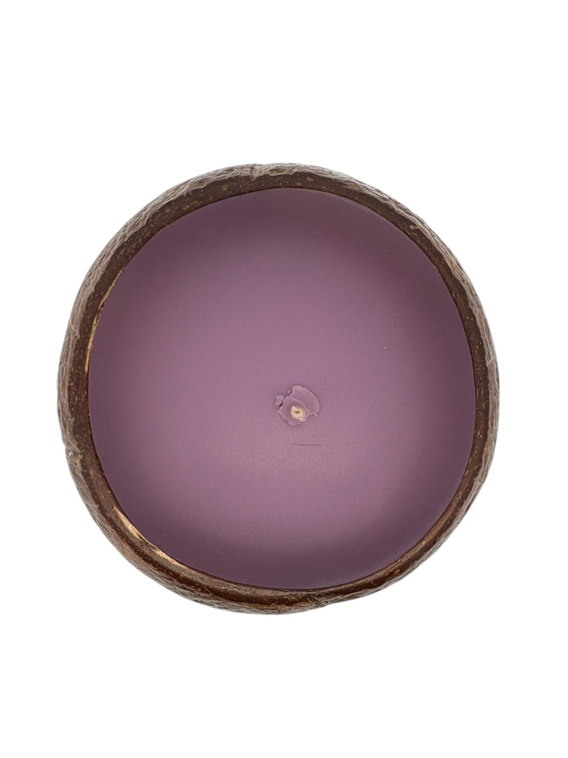 South Shore Sweetie Coconut Shell Soy Candle
