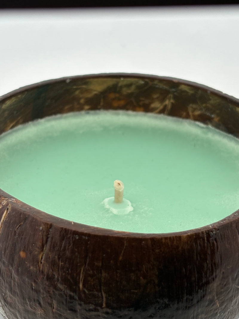 Rocky Point Rumble Coconut Shell Candle