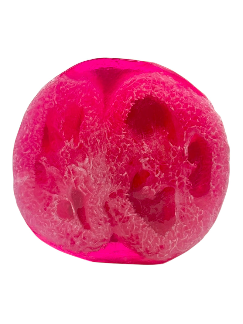 MADE IN HAWAII.Plumeria Sunset Loofah Soap