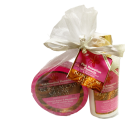 Pink Hawaii Plumeria 2oz Lotion and Loofah Soap Gift Set