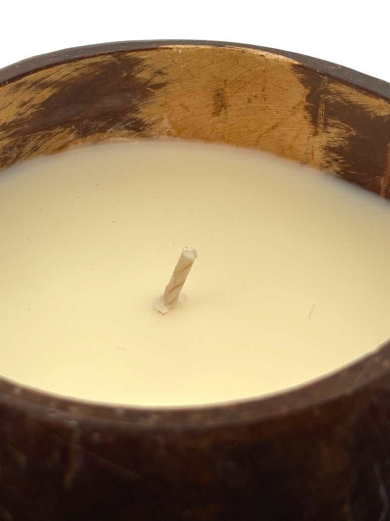 Tuba Rose aka: Tuberose Coconut Shell Soy Candle
