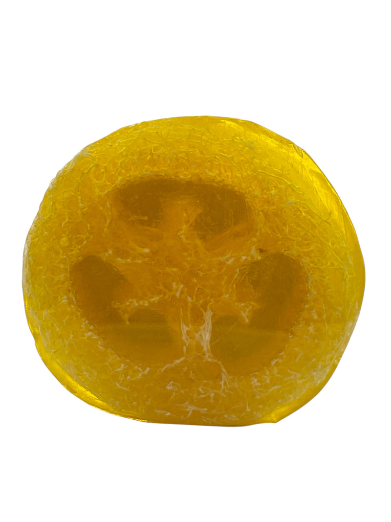 MADE IN HAWAII.Pineapple Shimmer Premium Organics Coconut Butter Sticker Loofah Soap