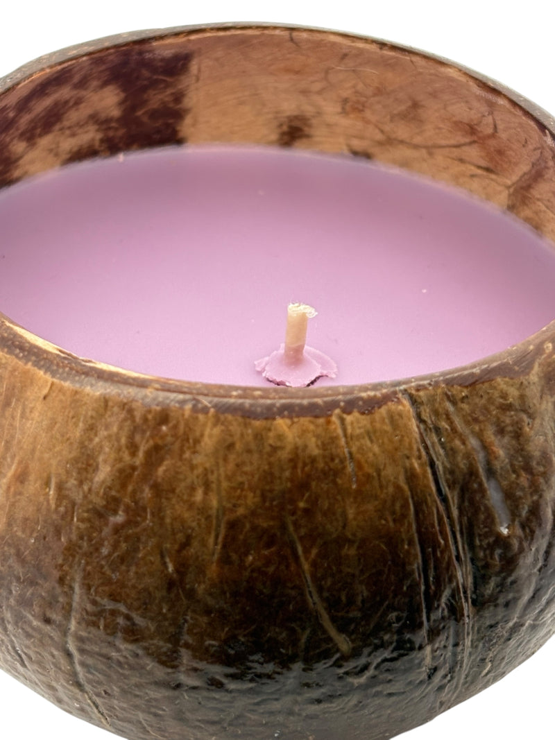 South Shore Sweetie Coconut Shell Soy Candle