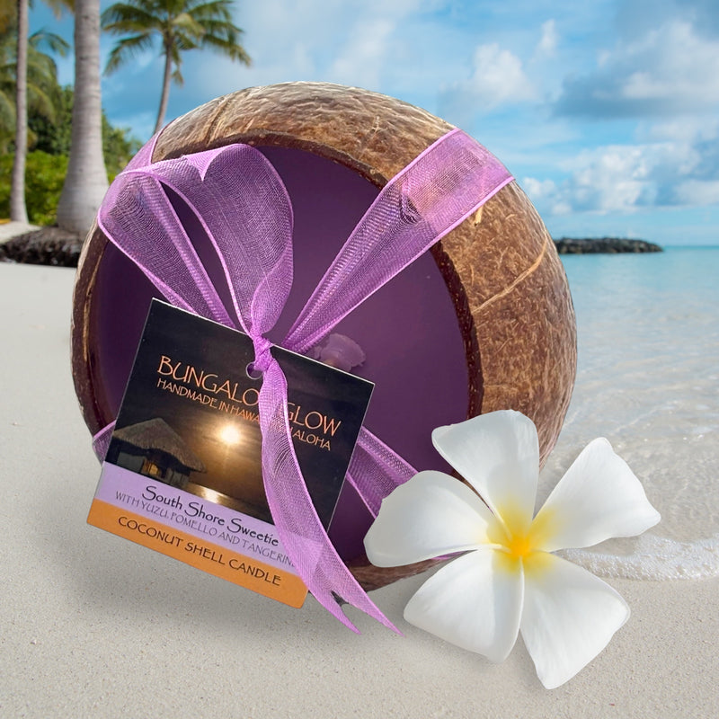 South Shore Sweetie Coconut Shell Soy Candle