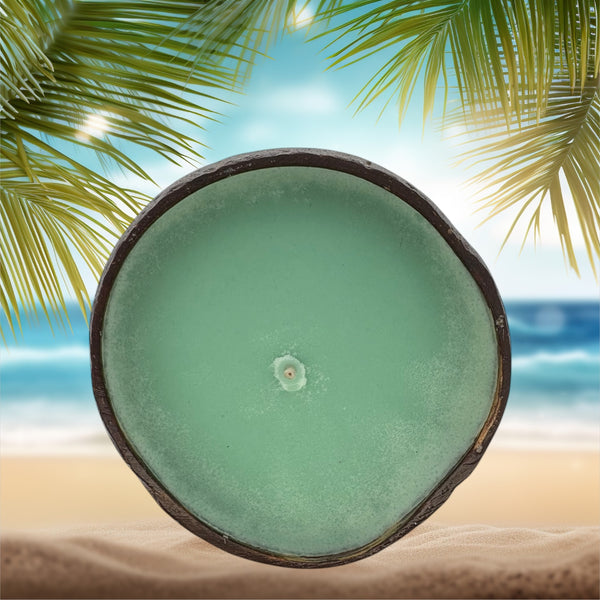Rocky Point Rumble Coconut Shell Candle