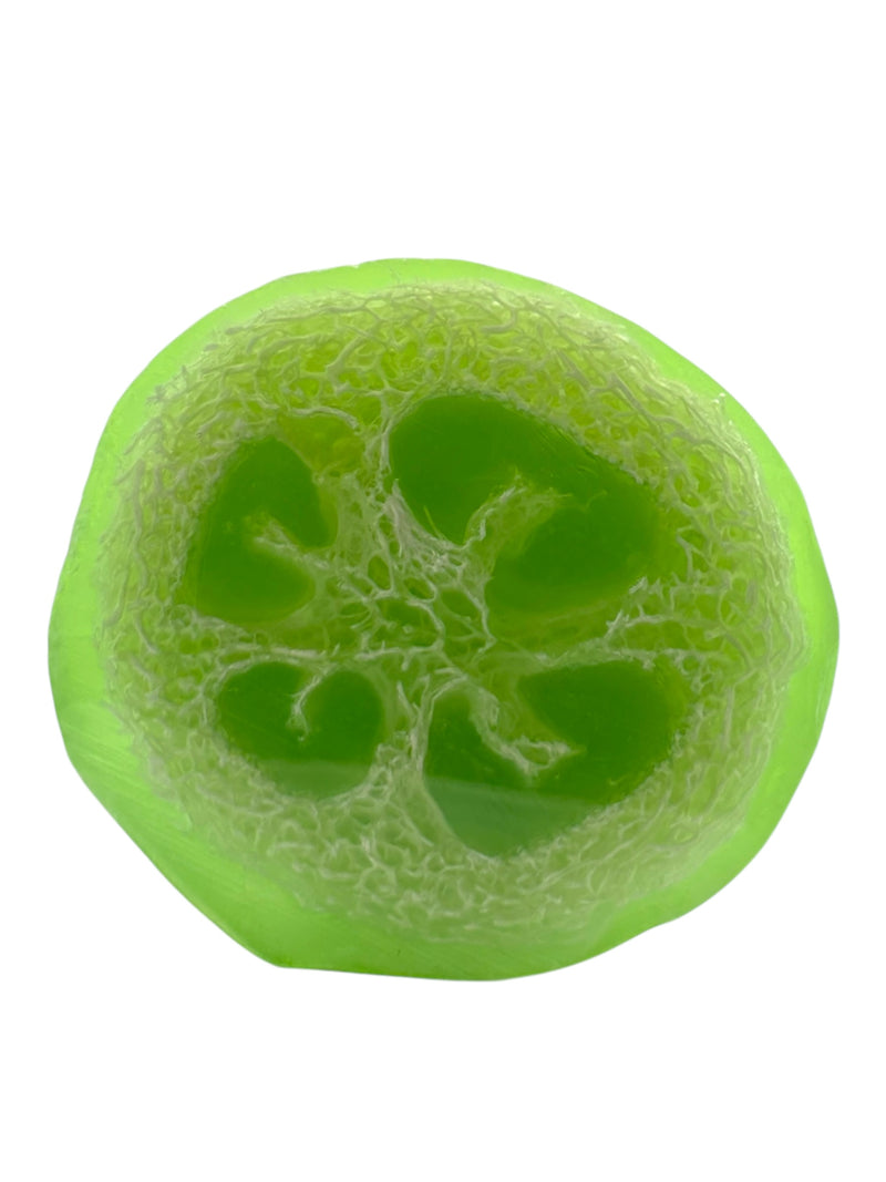 MADE IN HAWAII.Coconut Lime Verbena Loofah Soap