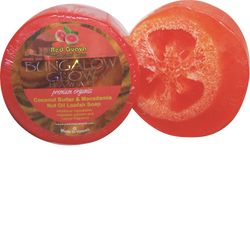 Red Guava with Island Citrus Premium Organics Coconut Butter Sticker Loofah Soap