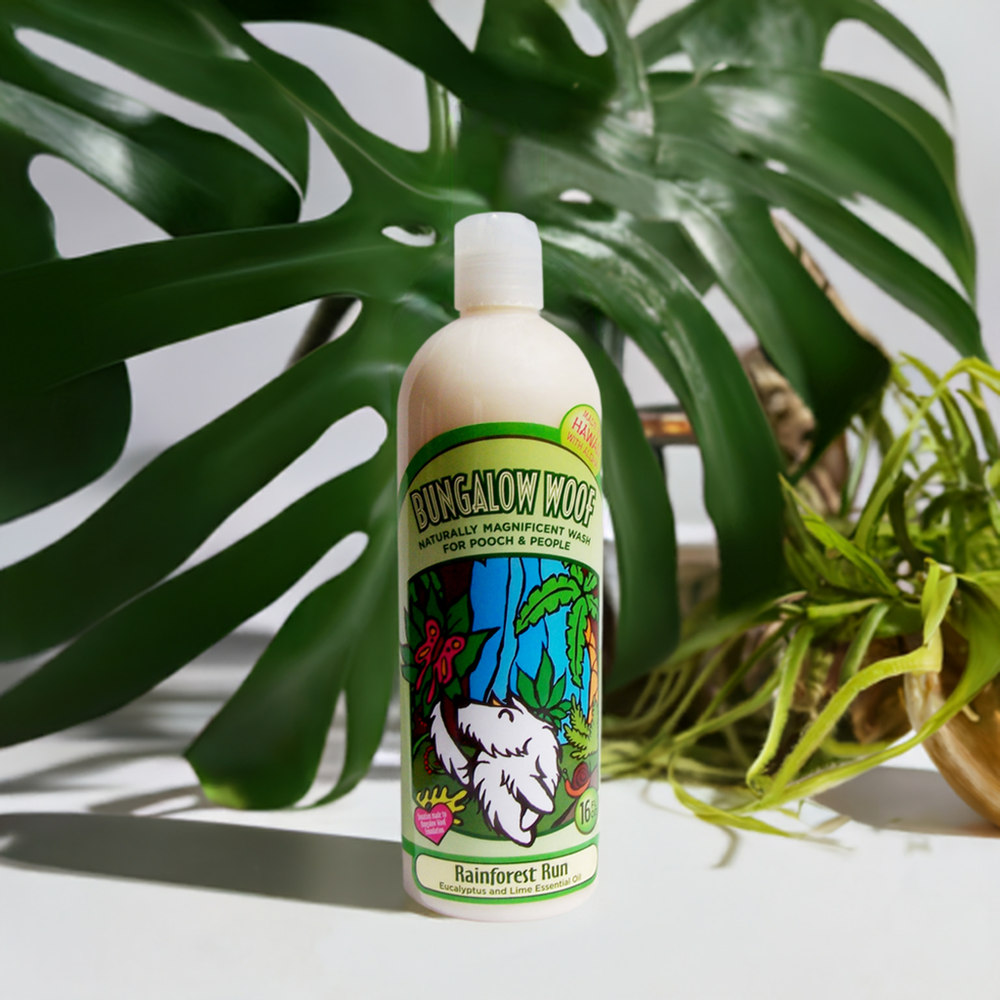 Rainforest dog shampoo best sale