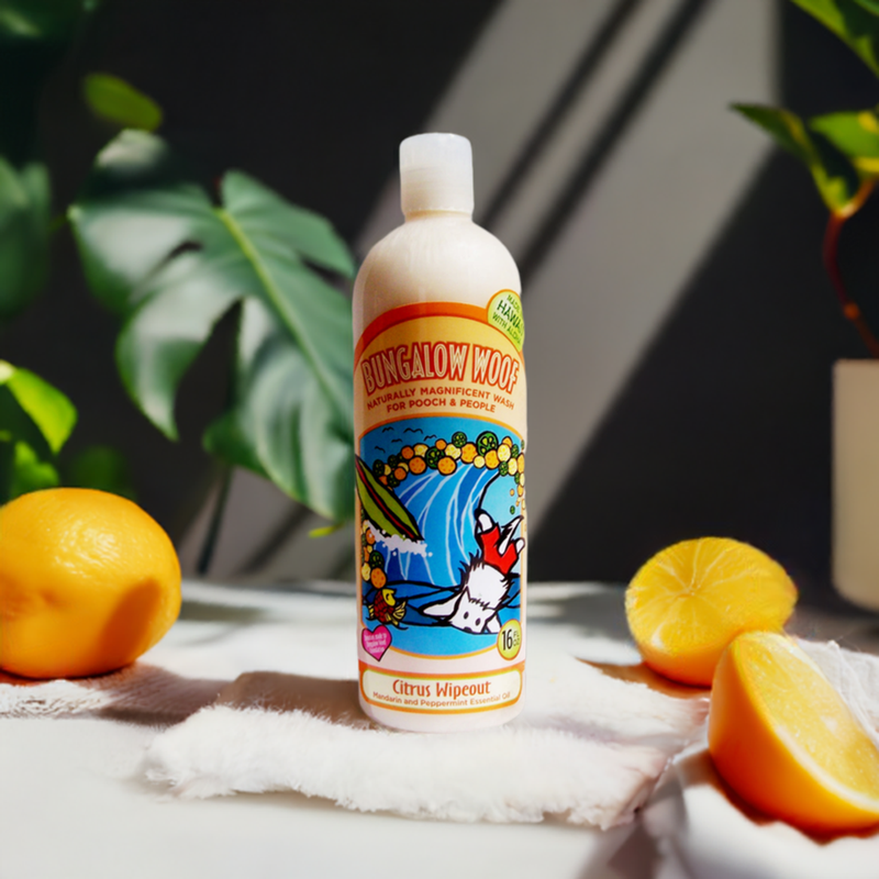 Citrus Wipeout Naturally Magnificent Wash for Dogs