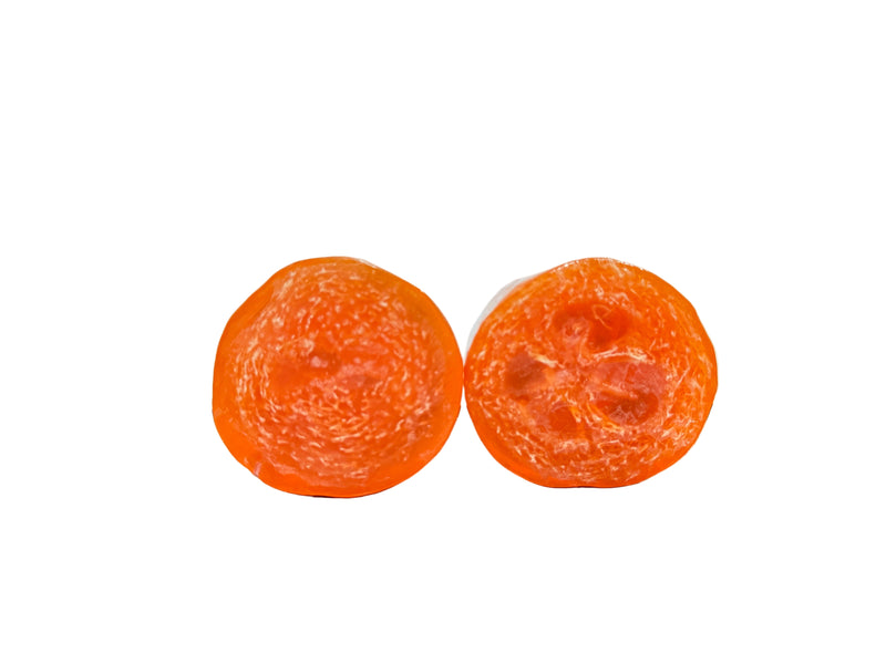 Red Guava with Island Citrus Premium Organics Coconut Butter Sticker Loofah Soap