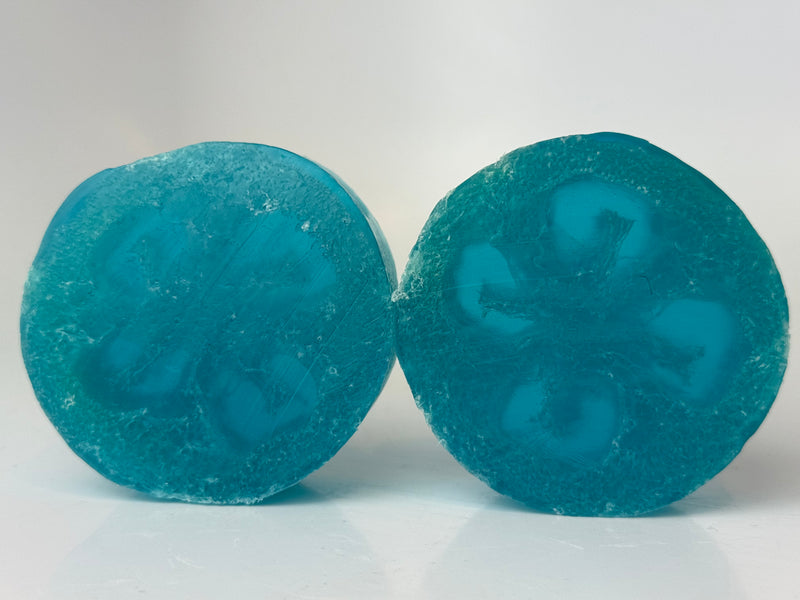 Hawaiian Waters Ocean Bliss Loofah Soap
