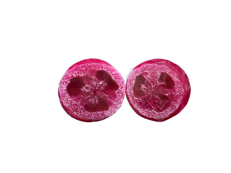 Plumeria Sunset Loofah Soap