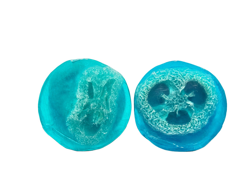 Hawaiian Waters Ocean Bliss Loofah Soap