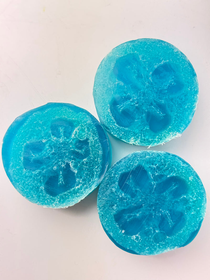 Hawaiian Waters Ocean Bliss Loofah Soap